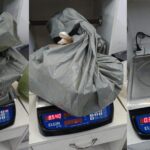 SSP realiza Operação Carbono e apreende mais de 20kg de drogas em cidades do Sertão de AL