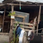 Polícia Civil detalha operação contra grupo suspeito de ordenar execuções em AL