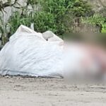 Caso Maria Vitória: polícia prende suspeito de participar de sequestro e morte de adolescente