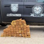 Idoso de 69 anos é preso com 100 kg de maconha em Marechal Deodoro