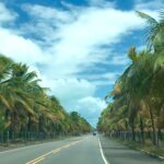 Alagoas tem as melhores rodovias do Nordeste, aponta ranking