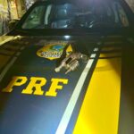 Em Pilar, PRF prende dois homens e recupera veículo roubado nesta sexta-feira (9)