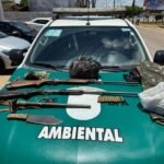 Polícia Militar apreende armas de fogo e resgata animais silvestres no interior de Alagoas